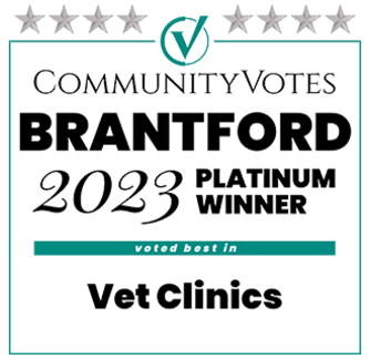 Brantford 2023 Platinum Winner Logo